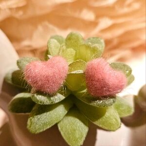 Fuzzy Pink Heart Earrings